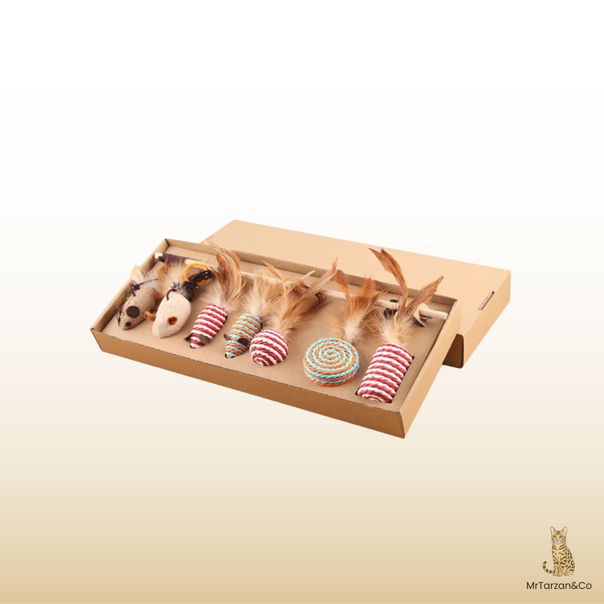 Coffret de jouets pour chat – Pack complet d’amusement