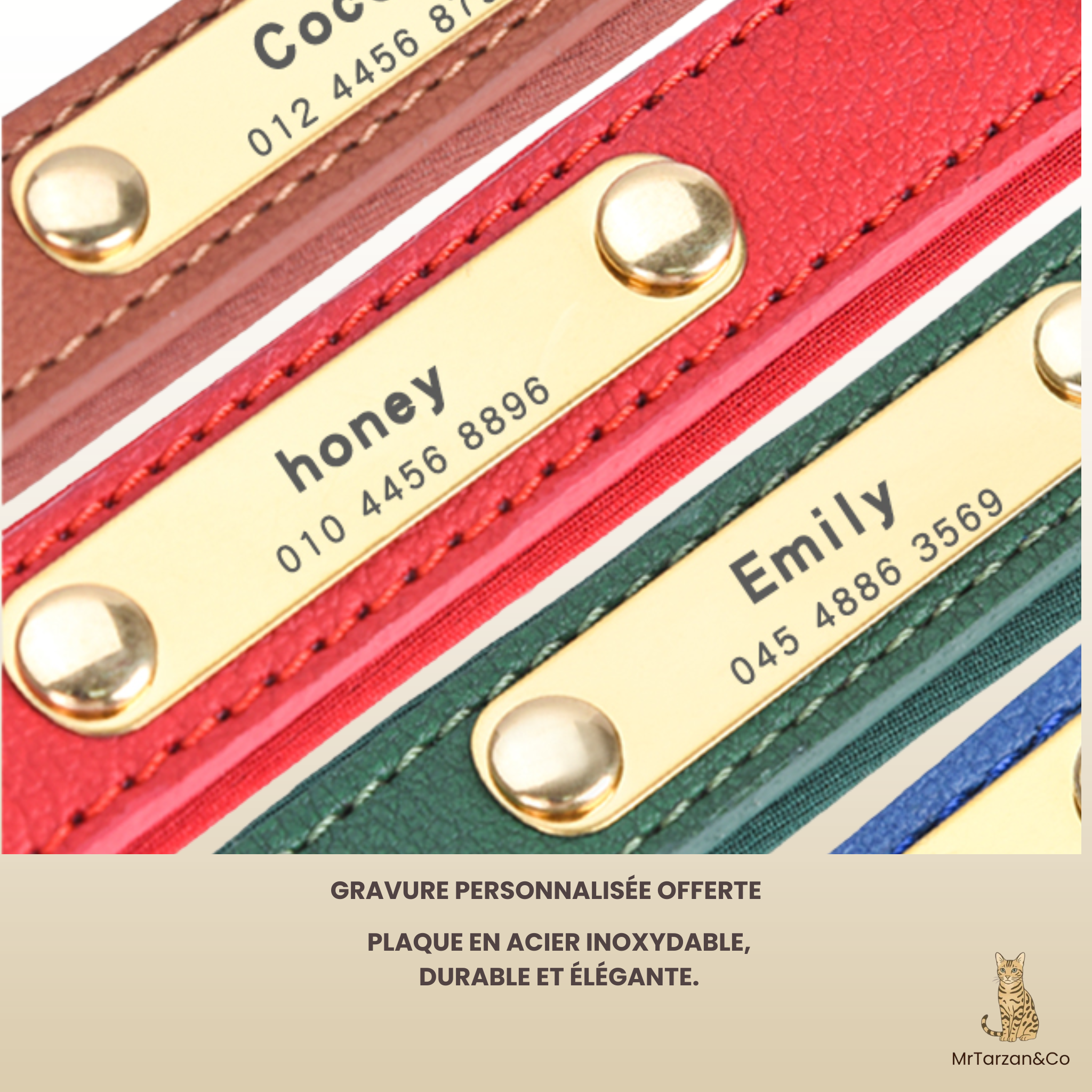 Collier personnalisé cuir - chien et chat