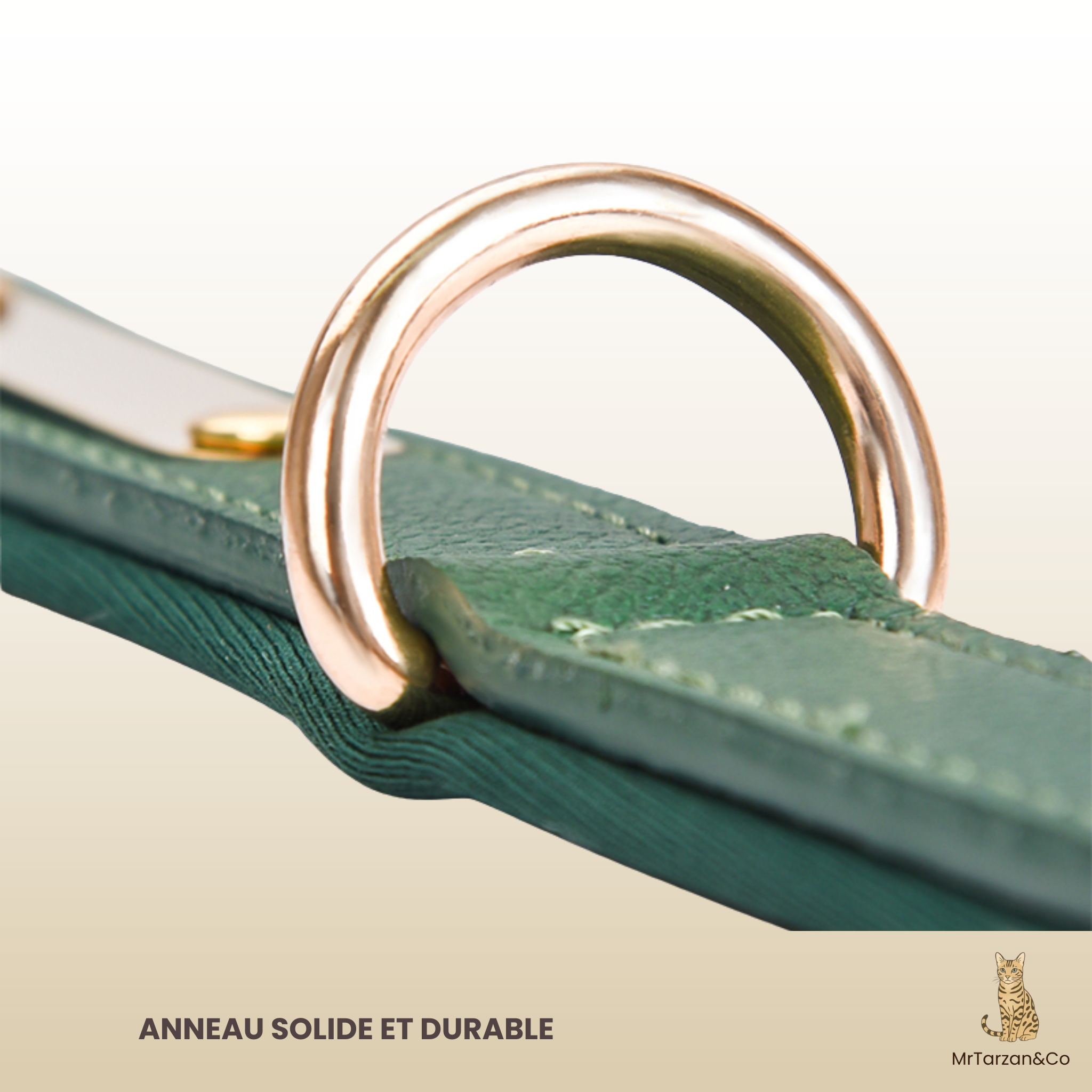 Collier personnalisé cuir - chien et chat