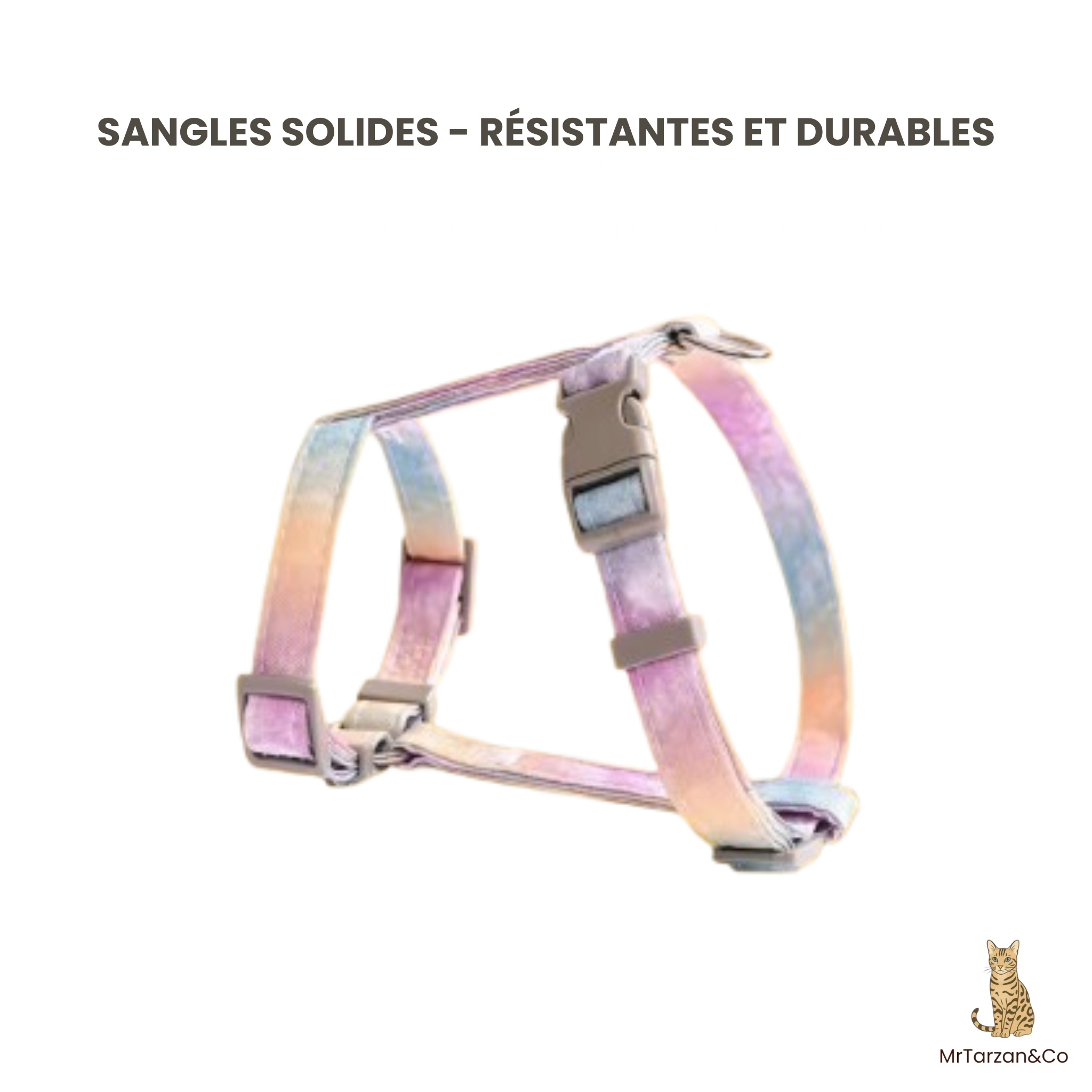 Harnais & laisse pastel pour chat ou petit chien